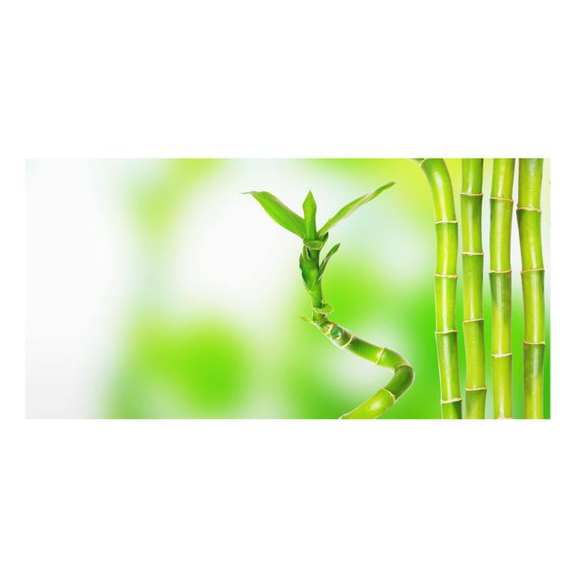 Deko Tropisch Grüner Bambus
