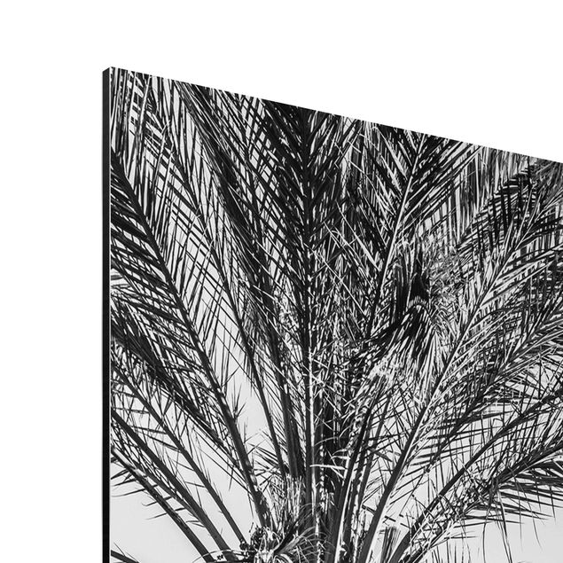 Wanddeko Treppenhaus Palmen im Sonnenuntergang Schwarz-Weiß