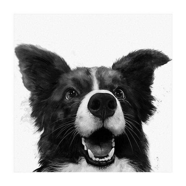 Wanddeko schwarz-weiß Illustration Hund Border Collie Schwarz Weiß Malerei