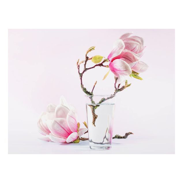 Wohndeko Fotografie Magnolie im Glas