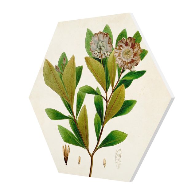 Wanddeko Pflanzen Laubbaum Schautafel V