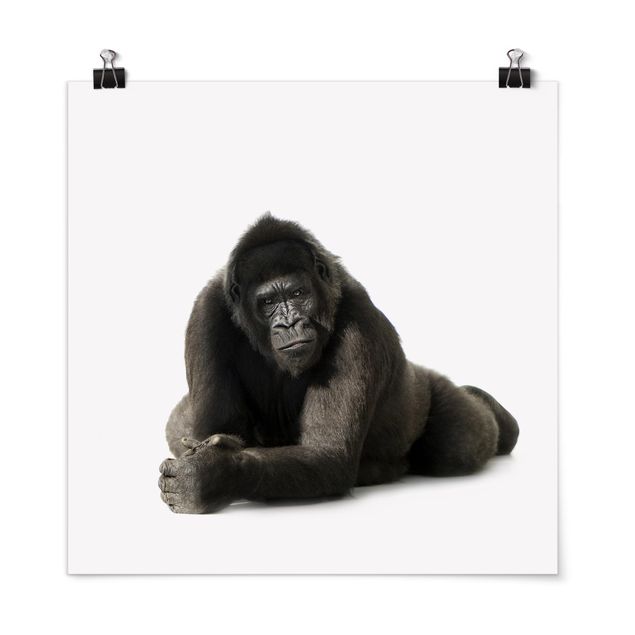 Wanddeko Büro Liegender Gorilla II