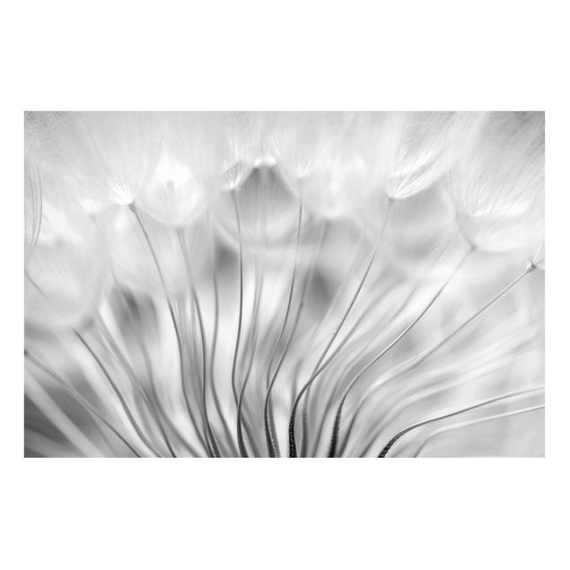 Wanddeko Esszimmer Traumhafte Pusteblume Schwarz-Weiß