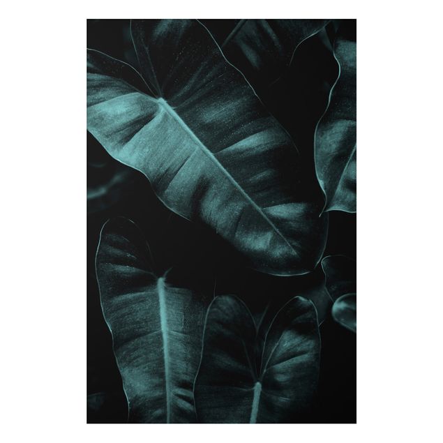 Wanddeko Schlafzimmer Dschungel Blätter Dunkelgrün