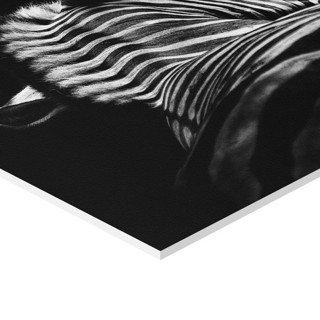 Wanddeko über Bett Dunkle Zebra Silhouette