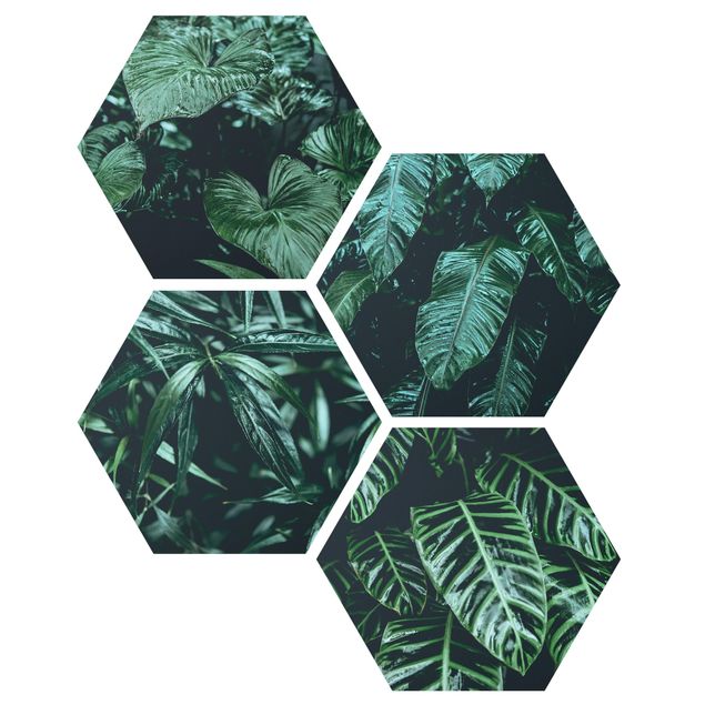 Wanddeko grün Tropische Pflanzen