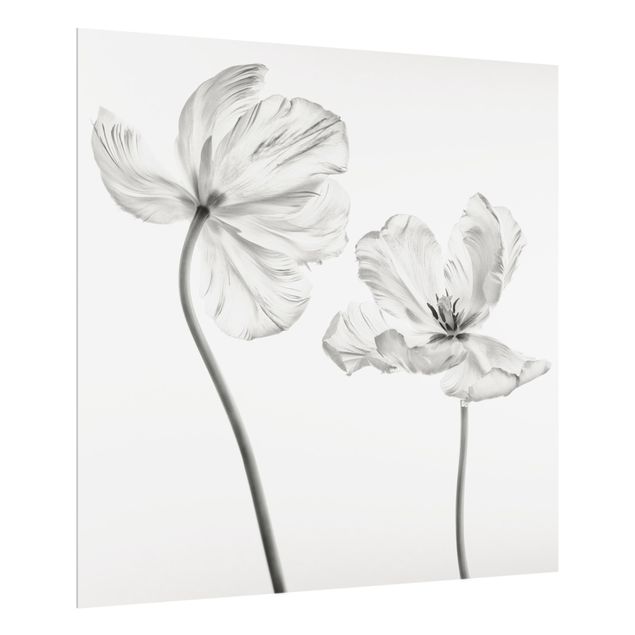 Wanddeko schwarz-weiß Zwei zarte weiße Tulpen