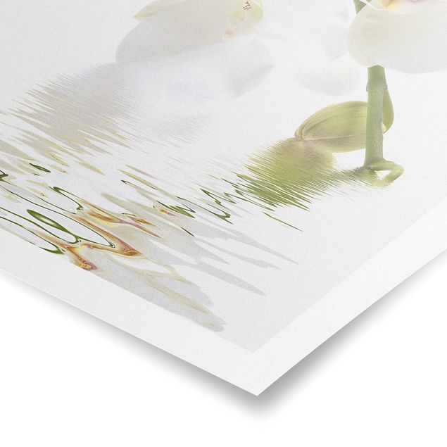 Wanddeko Esszimmer White Orchid Waters