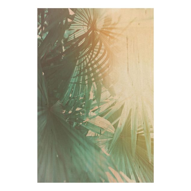 Wanddeko Schlafzimmer Tropische Pflanzen Palmen bei Sonnenuntergang