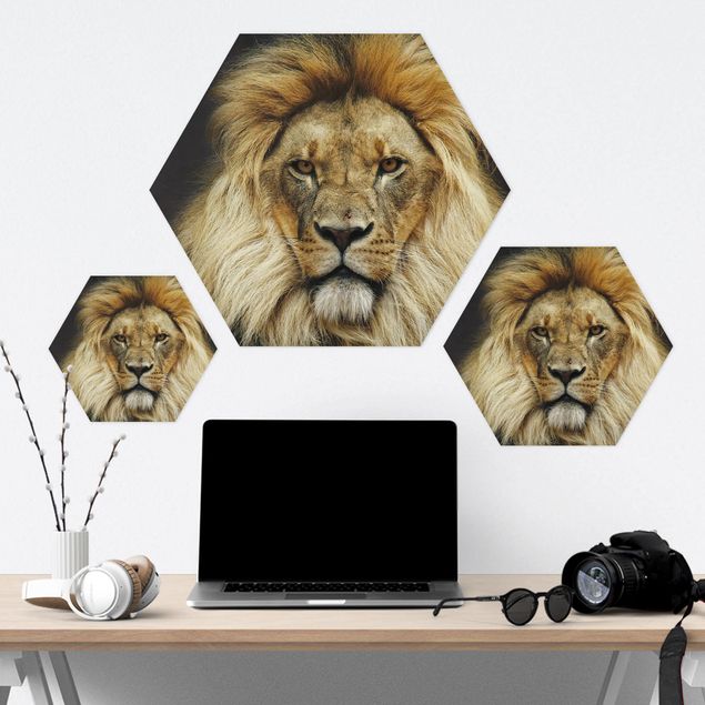 Wanddeko über Bett Wisdom of Lion