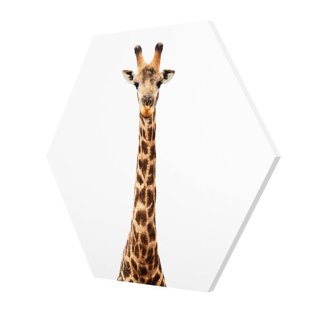 Wanddeko draußen Giraffenkopf