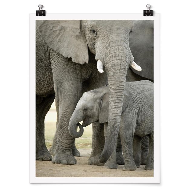 Wanddeko grau Elefantenliebe