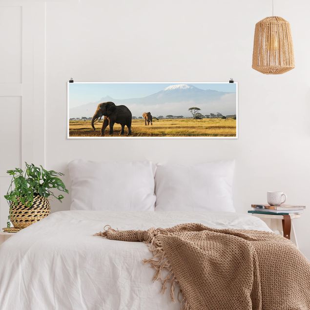 Wanddeko Schlafzimmer Elefanten vor dem Kilimanjaro in Kenya