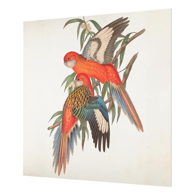 Wohndeko Tiere Tropische Papageien I