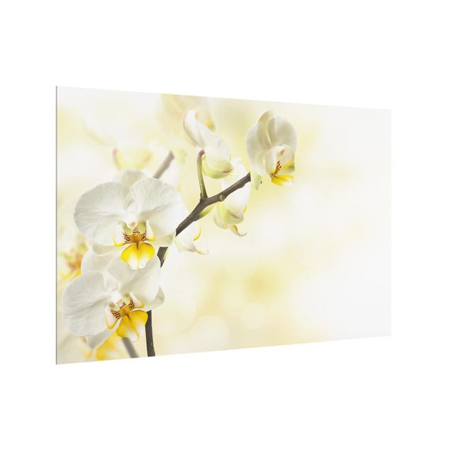 Deko Blume Orchideen Zweig