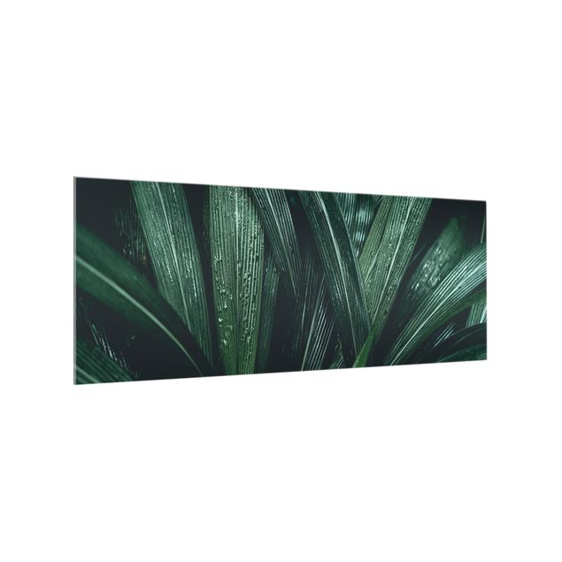 Wanddeko grün Grüne Palmenblätter