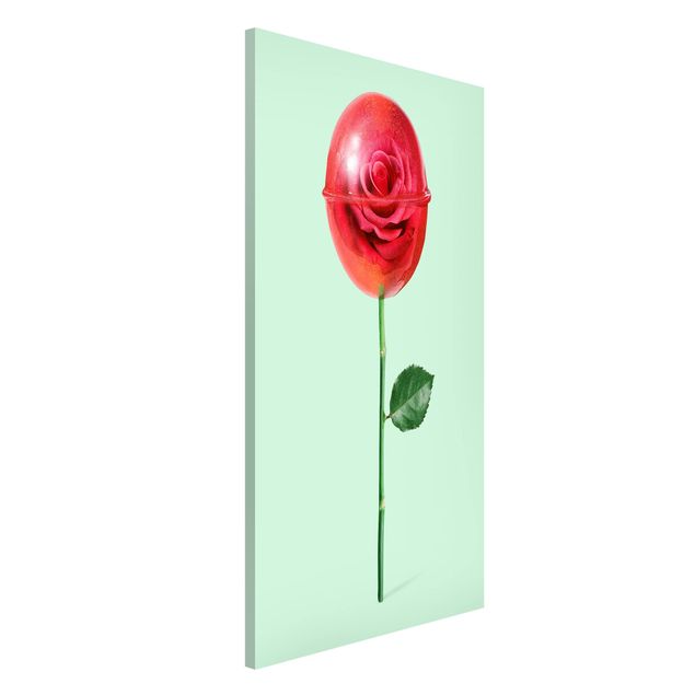 Wohndeko Botanik Rose mit Lollipop