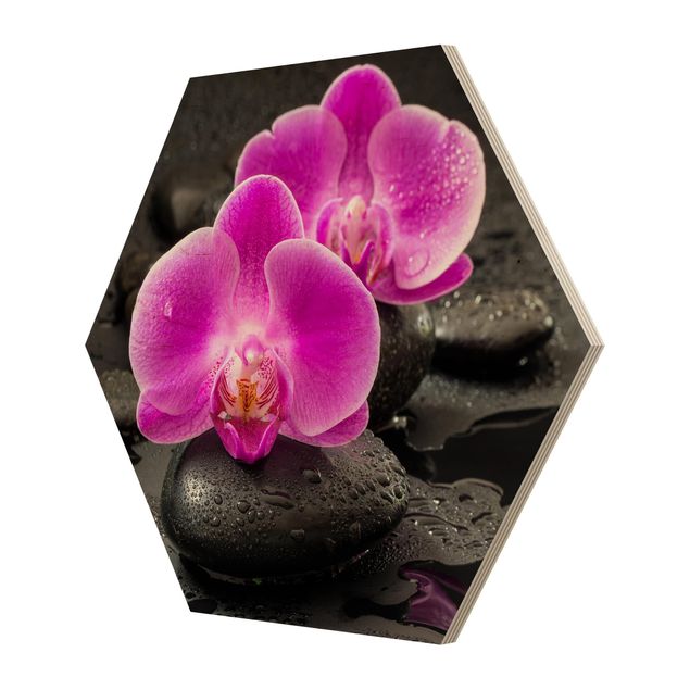 Wohndeko Orchidee Pinke Orchideenblüten auf Steinen mit Tropfen