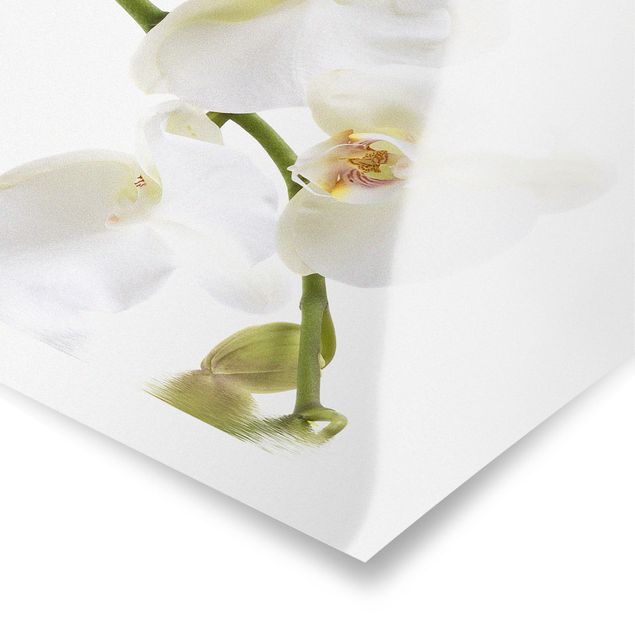 Deko Blume White Orchid Waters