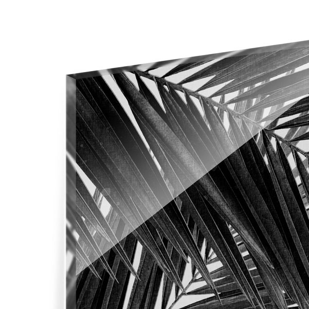 Glasrückwand Küche Blumen Blick durch Palmenblätter schwarz weiß