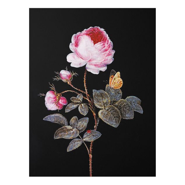 Wanddeko Flur Barbara Regina Dietzsch - Die hundertblättrige Rose