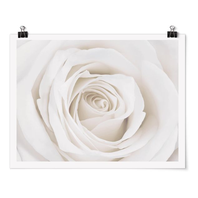Wanddeko Esszimmer Pretty White Rose