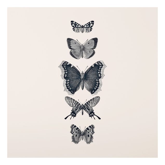 Wanddeko Schmetterlinge Tusche Schmetterlinge auf Beige