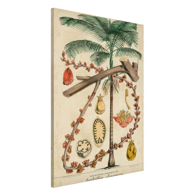 Wanddeko Flur Vintage Lehrtafel Exotische palmen II