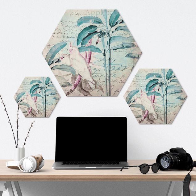 Wanddeko draußen Colonial Style Collage - Kakadus und Palmen