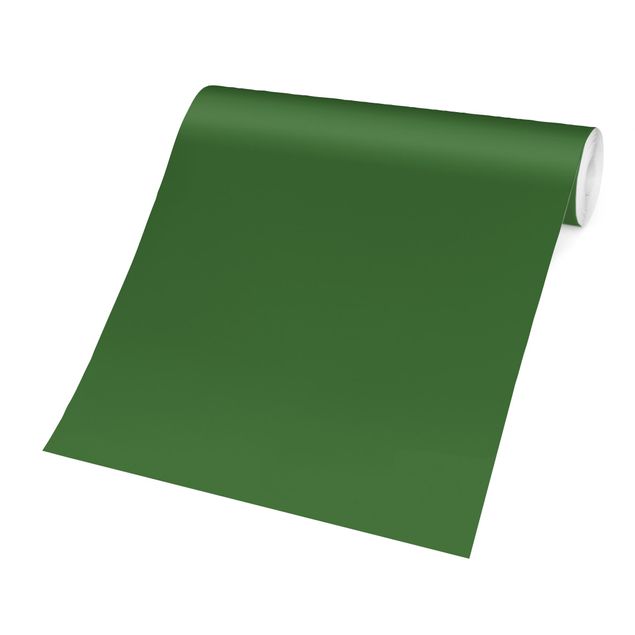 Wanddeko Esszimmer Colour Dark Green