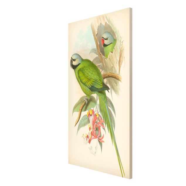 Wanddeko grün Vintage Illustration Tropische Vögel II