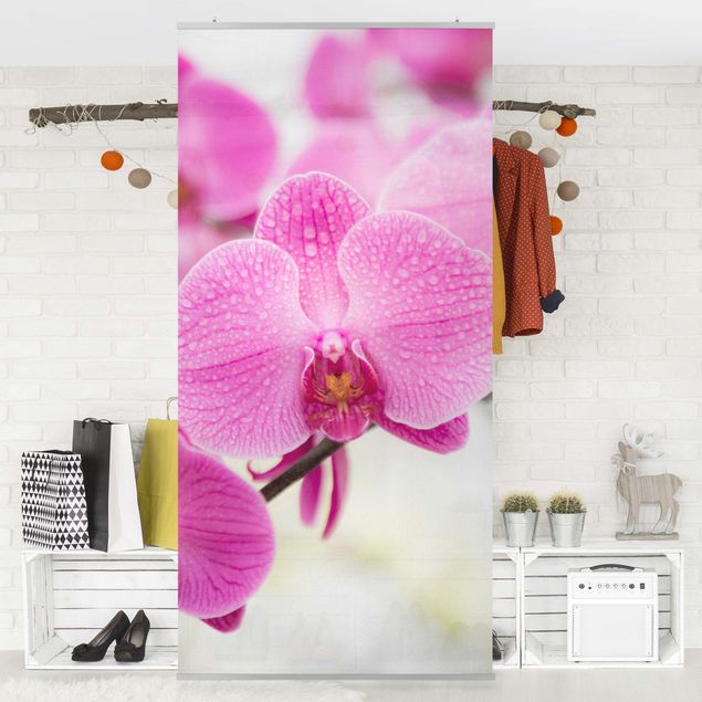 Wanddeko Schlafzimmer Nahaufnahme Orchidee