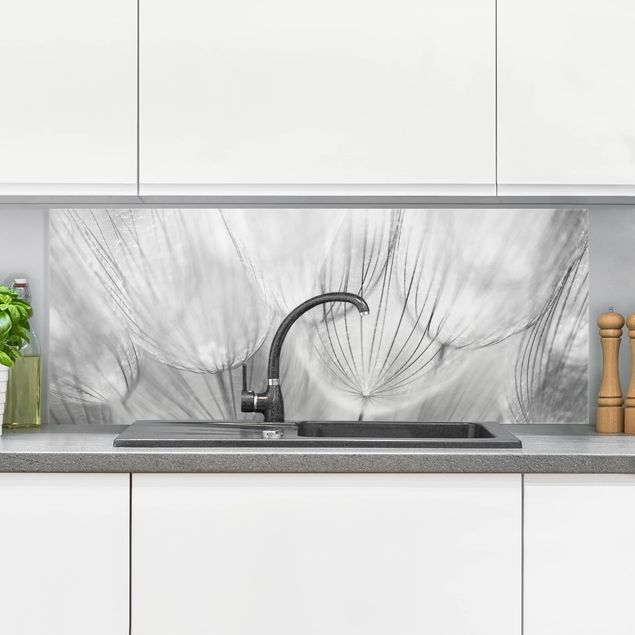 Wanddeko Küche Pusteblumen Makroaufnahme in schwarz weiß
