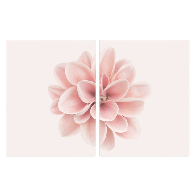 Herdabdeckplatten Blumen Dahlie Rosa Pastell Blume Zentriert
