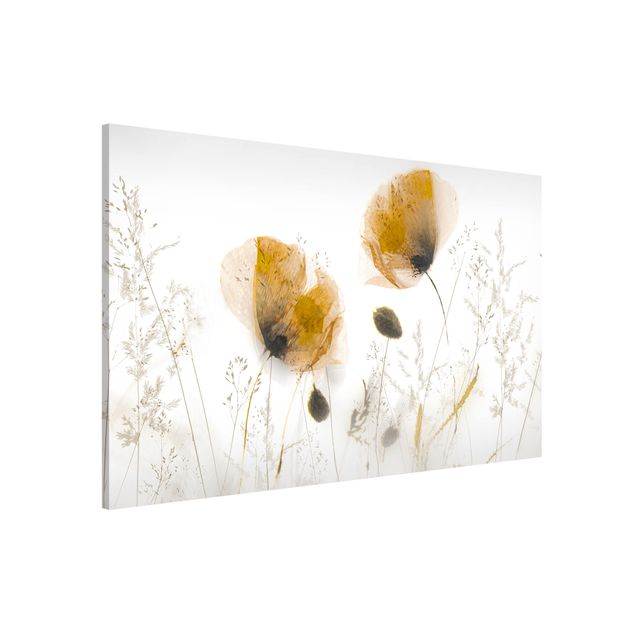 Wandbilder Mohnblumen Mohnblumen und zarte Gräser im weichen Nebel