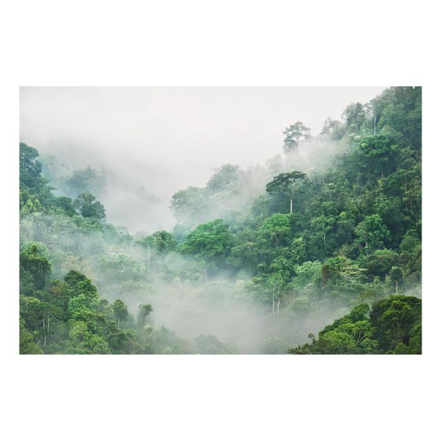 Wanddeko Bäume Dschungel im Nebel