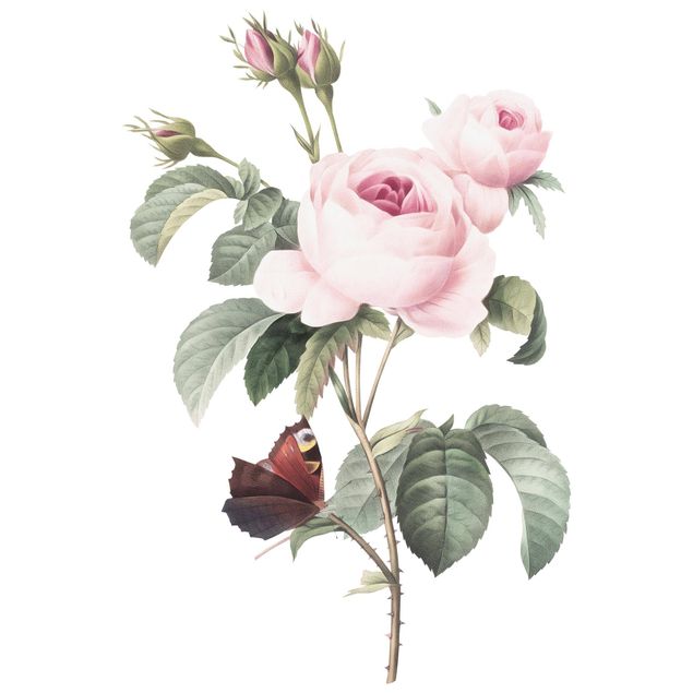 Wanddeko Flur Vintage Illustration Rosen mit Pfauenauge XXL