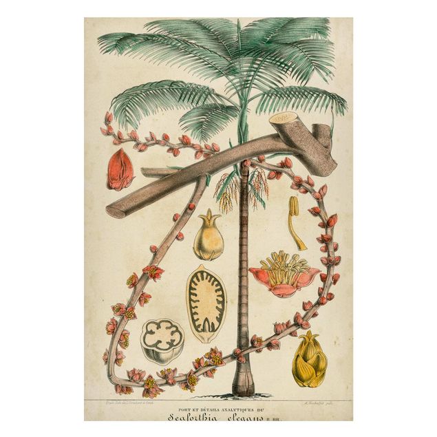 Wanddeko Esszimmer Vintage Lehrtafel Exotische palmen II