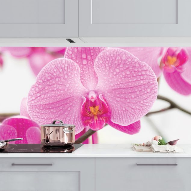 Küche Dekoration Nahaufnahme Orchidee