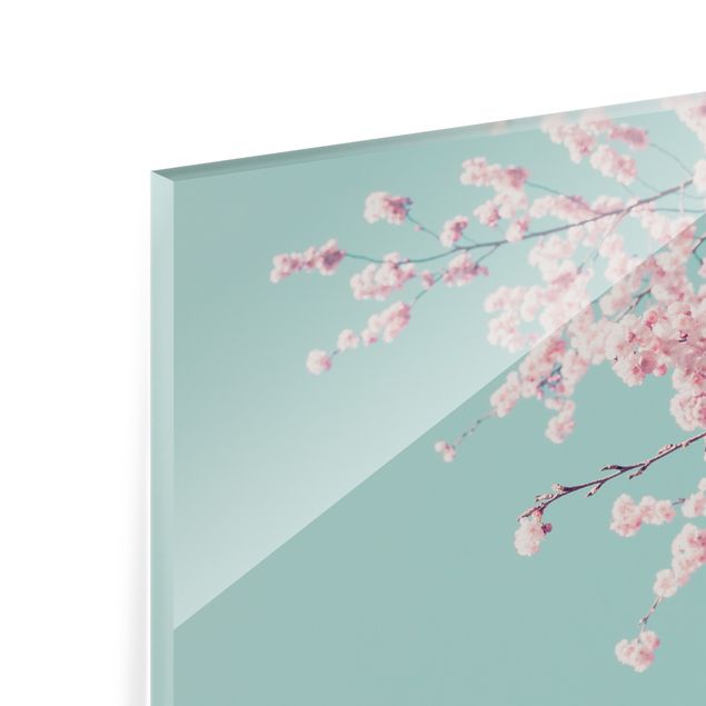Glasrückwand Küche Blumen Japanische Kirschblüte