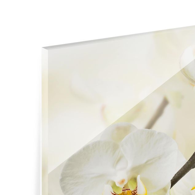 Glasrückwand Küche Orchideen Zweig