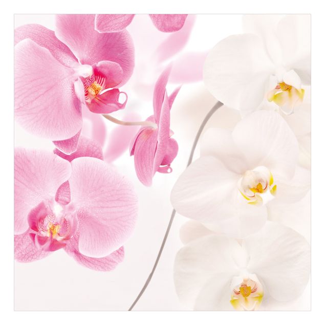 Wanddeko Praxis Delicate Orchids