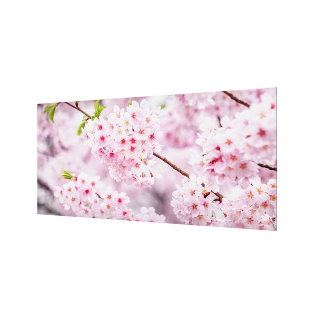 Wanddeko Fotografie Japanische Kirschblüten