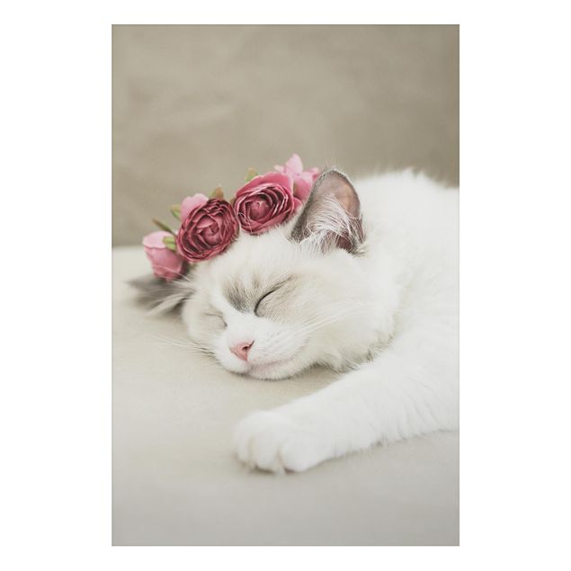Wanddeko Büro Schlafende Katze mit Rosen