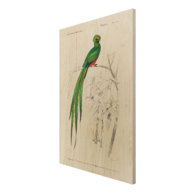 Wanddeko Esszimmer Vintage Lehrtafel Tropischer Vogel I