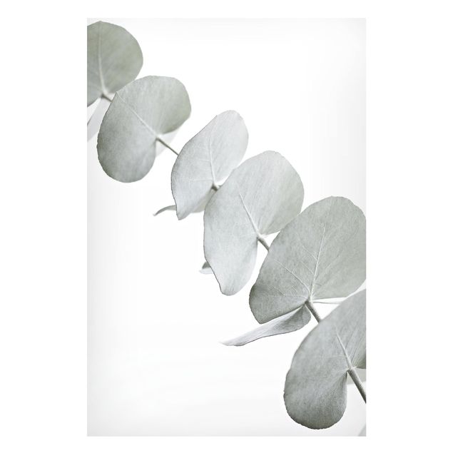 Wanddeko Esszimmer Eukalyptuszweig im Weißen Licht