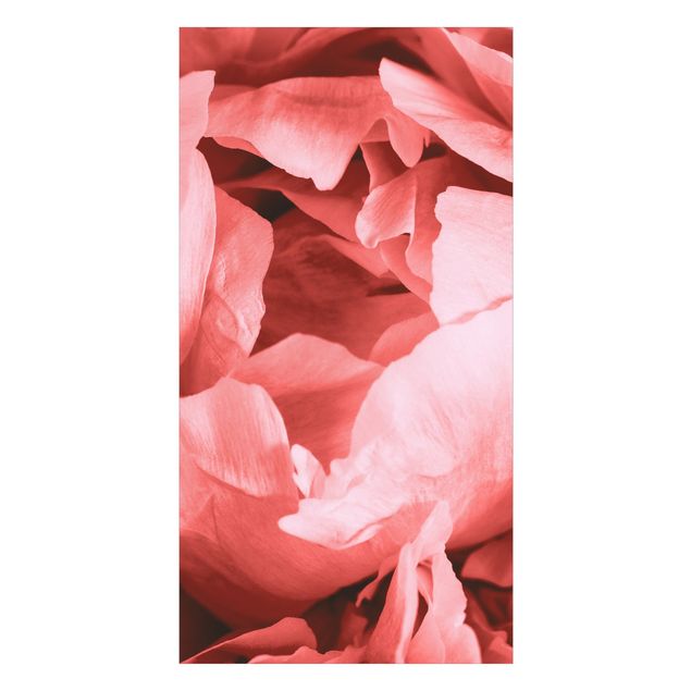 Wanddeko rosa Pfingstrose Blüte Koralle