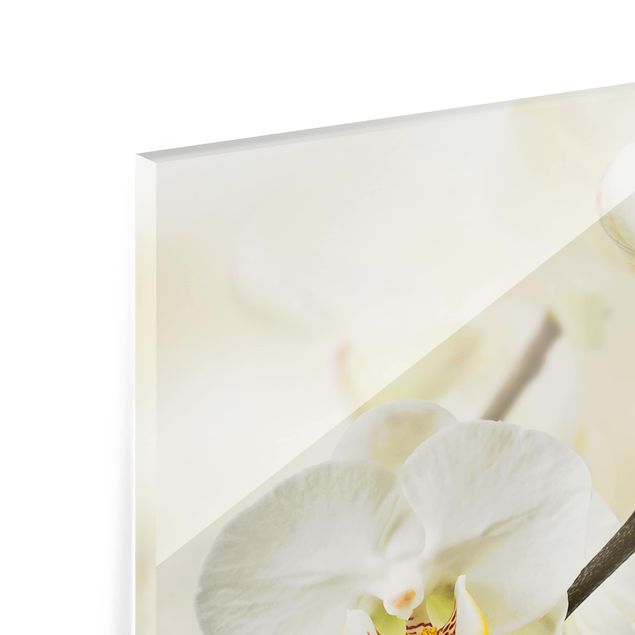 Küchenspiegel Glas Orchideen Zweig