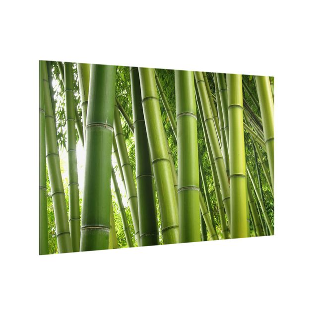 Deko Pflanzen Bamboo Trees