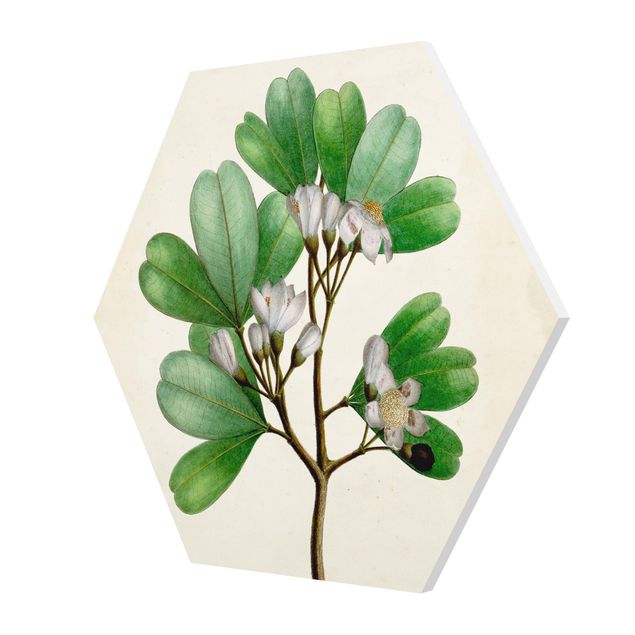 Wanddeko Pflanzen Laubbaum Schautafel III